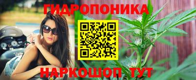 a pvp Обнинск