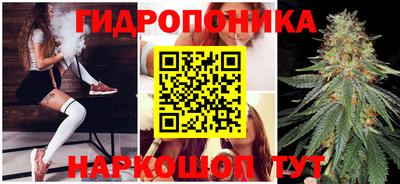 a pvp Обнинск
