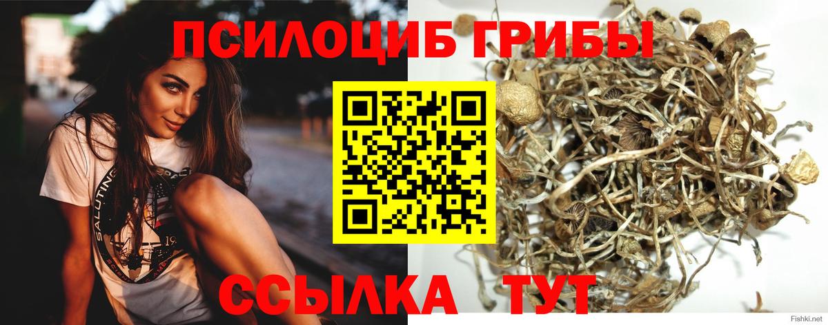 Галлюциногенные грибы мухоморы  Вход с VPN  Солнечногорск 